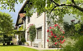Apartma Savan
